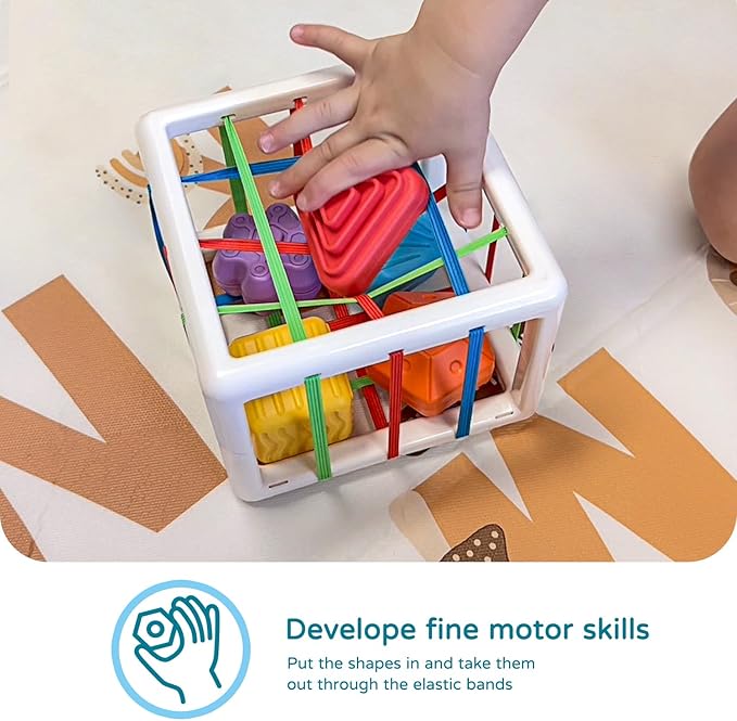 Multi Sensory Shapes, Toddler